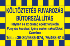 Fűtésvilágítás-kamera-riasztó-kapunyitó. Beüzemelés, szerviz. Tel.: 06-30/525-7611 S Z O B A F E S T É S T - M Á Z O L Á S T - TAPÉTÁZÁST vállalok. Megbízható, precíz, számlaképes munka. Tel.: 06-70/638-8963 ÁGDARÁLÁS (7 cm átmérőig).