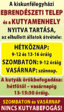 : 06-20/213-2137 526 m2-es, 30%-ban beépíthető ÉPÍTÉSI TELEK eladó a Molnár telepen. Vidéki Élet Ingatlanközvetítő Iroda - Kutasi Klára. Tel.
