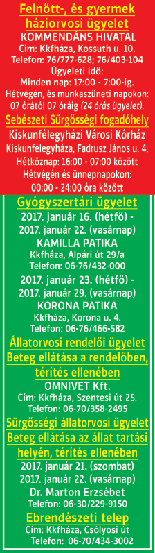 LUCFENYŐ ÜLTETVÉNY (6-8 éves) teljes ÁRUKÉSZLETE parkosításra végkiárusítás miatt sürgősen, olcsón eladó. Kitermelés elszállításkor földlabdával történik. Határidő: március vége.