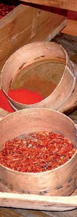 VII. TANÖSVÉNY A Paprika Molnár Múzeumtól domaszéki Jancsár-széken, a zákányszéki Ezerarcú-sömlyéken át az üllési Kerekes-rétig Útvonal hossza: 45 km