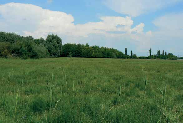 KEDVES LÁTOGATÓ! Röszke Szegedtől 15 km-re DNy-ra, az E-75-ös (M 5-ös) út mentén fekszik.