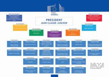 EURÓPAI BIZOTTSÁG az EU mindennapi munkáját végző, döntés-előkészítő, javaslattevő szerve, mely szupranacionális szervezet: nem a tagállamokat, hanem az Unió egészét szolgálja ellenőrző, képviseleti,