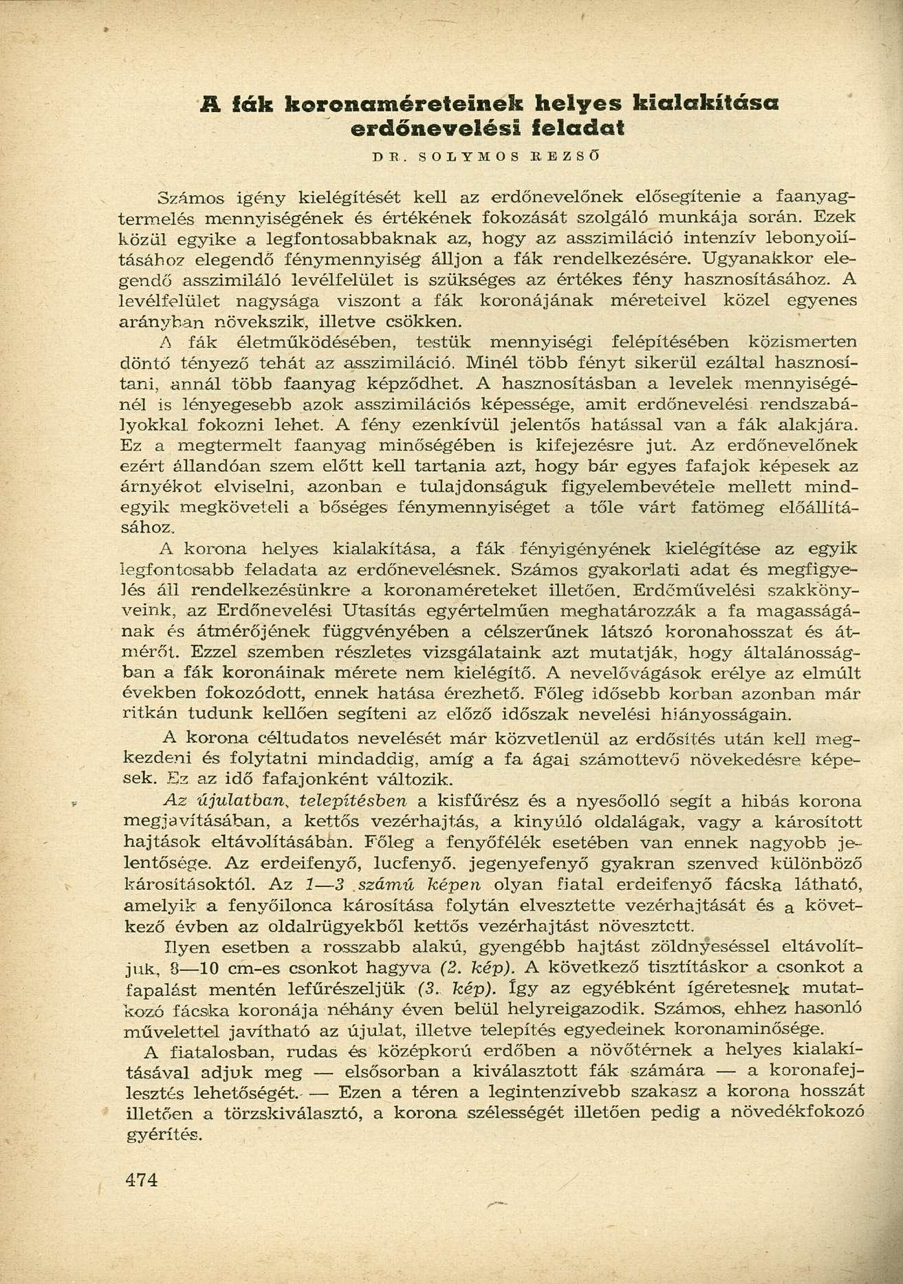 A iák krnaméreteinek helyes kialakítása erdőnevelési feladat DE.