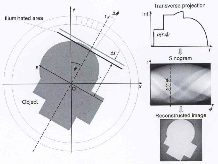 Tomografikus optikai mikroszkóp Működési elv G.