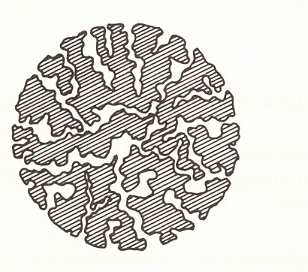 A sebességi elmélet szerint a csúcsszélesedés oka (van Deemter, Knox, Giddings): 1. Áramlási - nem egyensúlyi- folyamatok 2.