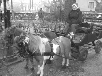 december első fele Városi