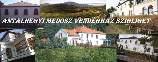 STRANDFÜRDŐ VENDÉGHÁZ Vendégházunk 10-15 fő részére nyújt kényelmes pihenést a strandtól mindössze 100 méterre.