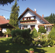 szerepelnek.