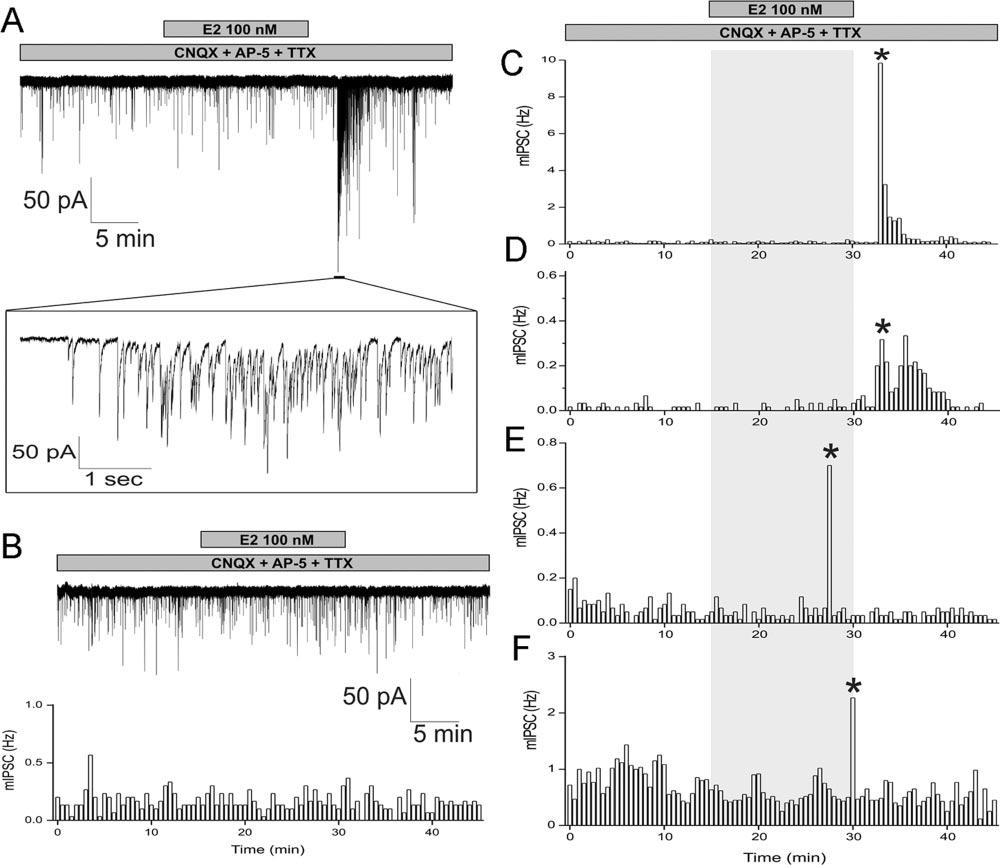 GABA képes a GnRH neuronban közvetlenül a Ca 2+ tranziensek emelésére. Valóban TTX és 50 mm GABA együttes alakalmazása esetén 11-ből 6 GnRH neuronban emelkedet a Ca 2+ tranziensek száma (23.