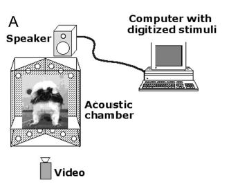 Hauser et al.