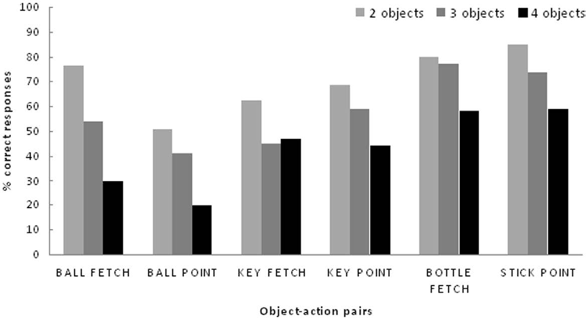 A kutya mint nyelvi modell? Two-Item Sentence Comprehension by a Dog (Canis familiaris) 2012, Daniela Ramos, Cesar Ades.