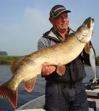 Tartalma: 1 db KIS PILKEREK Tartalma: 1 db firetiger silver 3D shiner 50-90008 4.5 cm 8 g 50-90013 5.