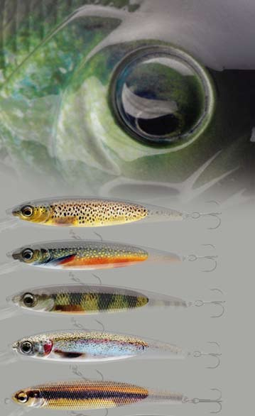 TEAM CORMORAN jerks A természetet másoltuk Ez a striped perch, azaz csíkos sügér mintázatú TEAM CORMORAN Belly Dog wobblerünk szeme kinagyítva.