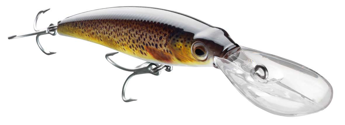 TEAM CORMORAN DD140 színválaszték perch 53-28014 14.0 cm 55.0 g green lady 53-28214 14.0 cm 55.0 g real perch 53-28414 14.