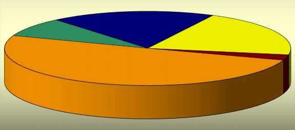 3,3%-a vont maga után valamilyen pénzügyi jellegű szankciót (munkavédelmi bírság, eljárási bírság). A közigazgatási határozatokban összesen 70 444 intézkedés meghozatalára került sor.