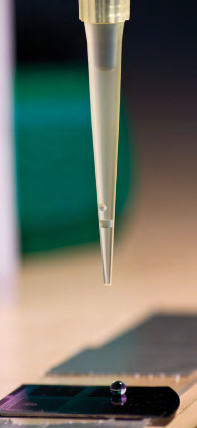 Mérnökinformatikus MSc Info-bionika mérnöki MSc Képzési terület: informatika Képzési terület: műszaki 20 A mesterképzést elvégző hallgatók képesek lesznek új informatikai rendszerek és eszközök