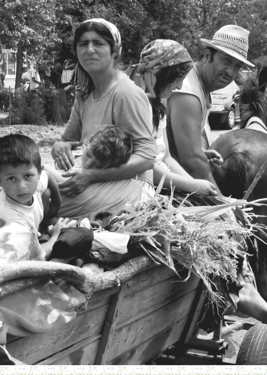 A legutóbbi népszámlálás adatai szerint Bihardiószeg lakosságának közel 9 százaléka roma.
