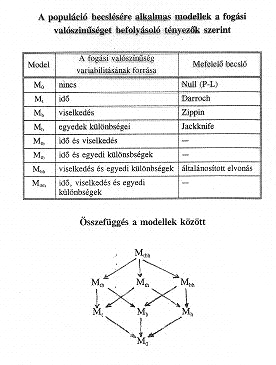 2. Többszörös jelölés-visszafogás (Demeter-Kovács 1991) Arra is nyílhat lehetőség, hogy több, mint két alkalommal fogjunk be állatokat és jelöljük meg ezeket.