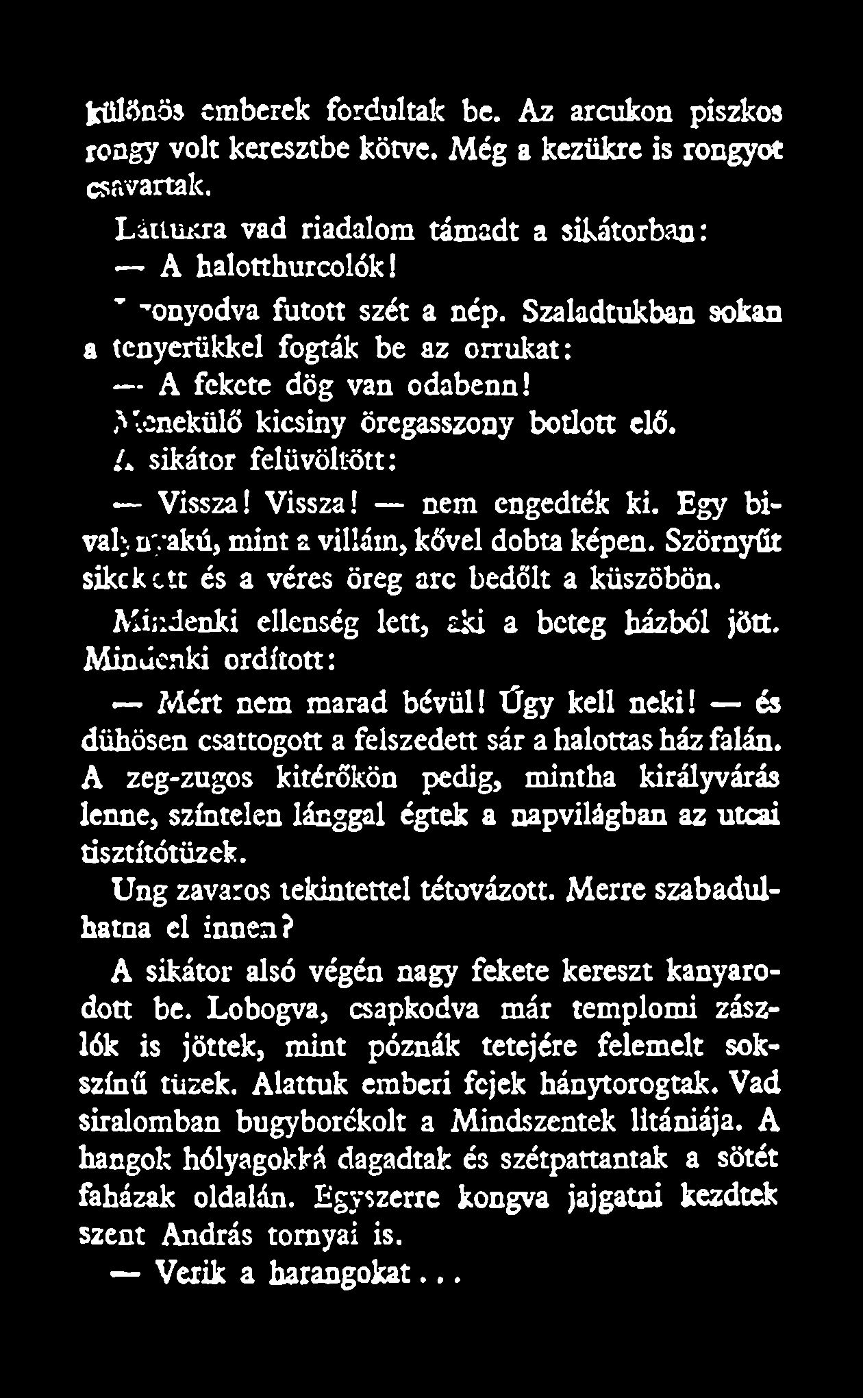 Egy bivaly nyakú, mint a villám, kővel dobta képen. Szörnyűt sikek ett és a véres öreg arc bedőlt a küszöbön. Mindenki ellenség lett, aki a beteg házból jött. Mindenki ordított: Mért nem marad bévül!