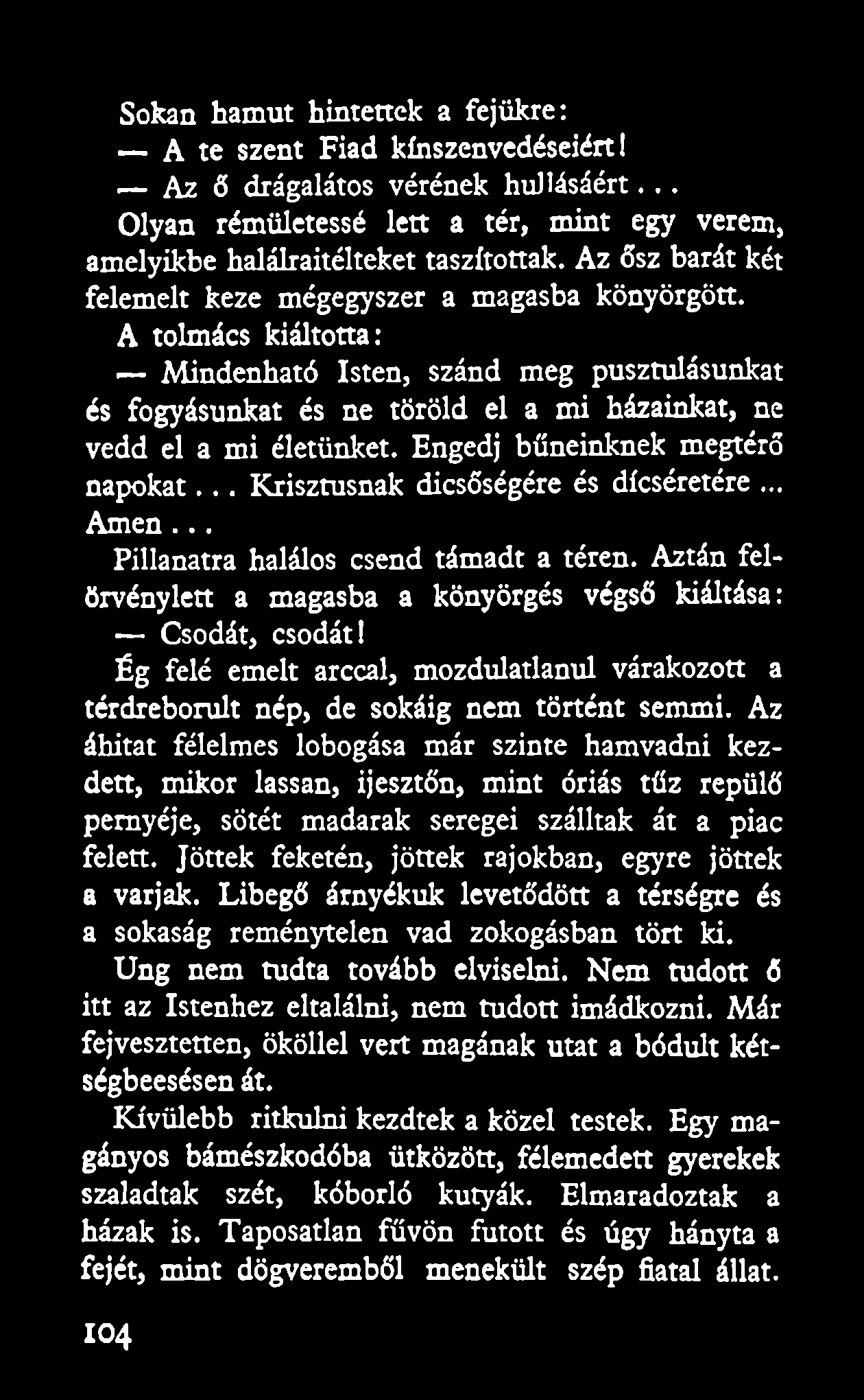 Sokan hamut hintenek a fejükre: A te szent Fiad kínszenvedéseiért I Az ő drágalátos vérének hullásáért... Olyan rémületessé lett a tér, mint egy verem, amelyikbe halálraítélteket taszítottak.