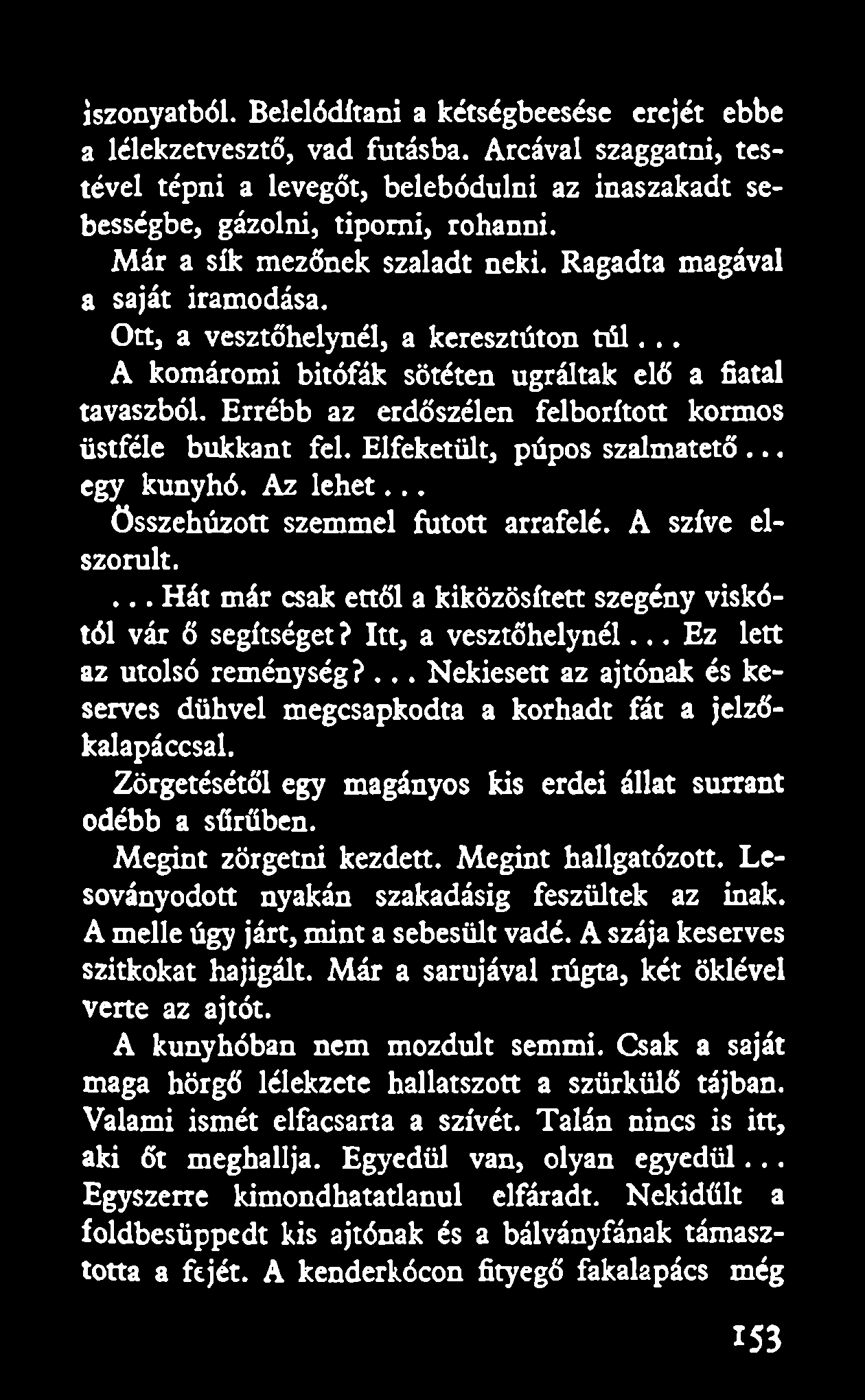 Errébb az erdőszélen felborított kormos üstféle bukkant fel. Elfeketült, púpos szalmatető... egy kunyhó. Az lehet... összehúzott szemmel futott arrafelé. A szíve elszorult.