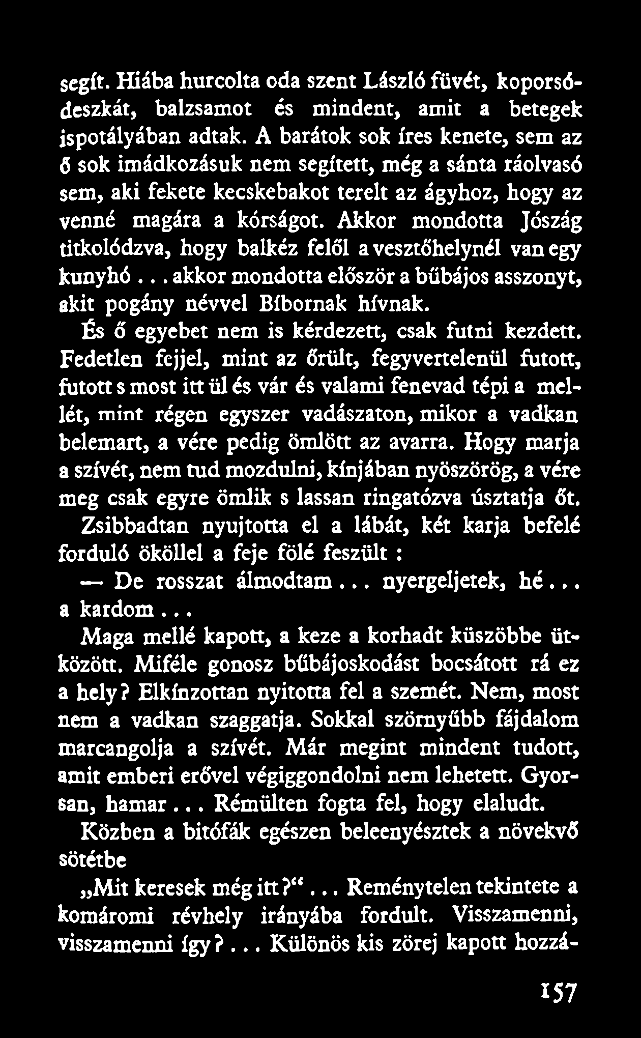 segít. Hiába hurcolta oda szent László füvét, koporsódeszkát, balzsamot és mindent, amit a betegek ispotályában adtak.