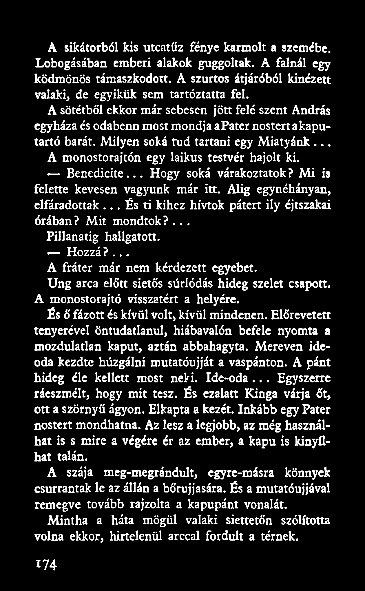 A sikátorból kis utcatűz fénye karmolt a szemébe. Lobogásában emberi alakok guggoltak. A falnál egy ködmönös támaszkodott. A szurtos átjáróból kinézett valaki, de egyikük sem tartóztatta fel.
