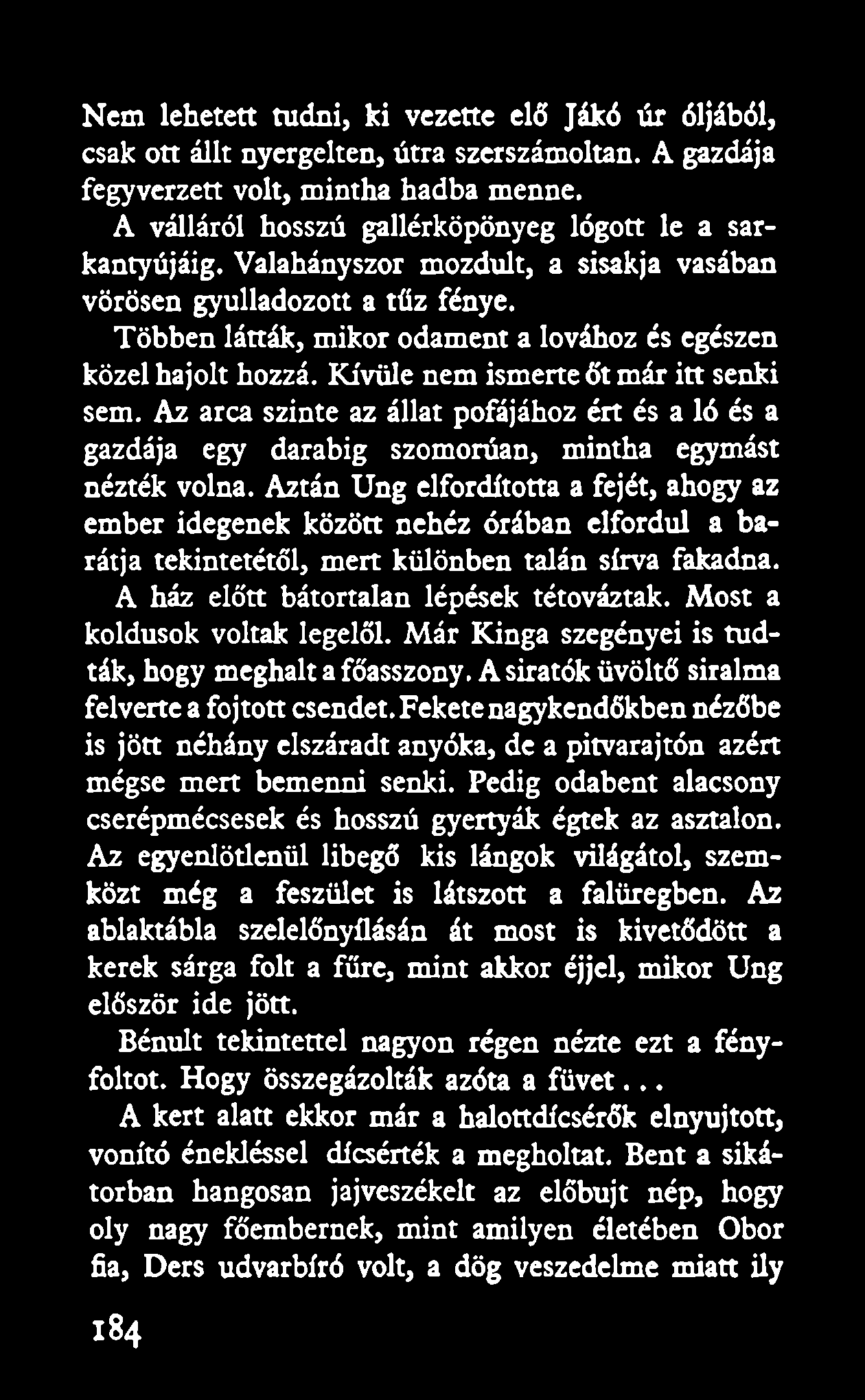 Nem lehetett tudni, ki vezette elő Jákó úr óljából, csak ott állt nyergeken, útra szerszámoltan. A gazdája fegyverzett volt, mintha hadba menne.