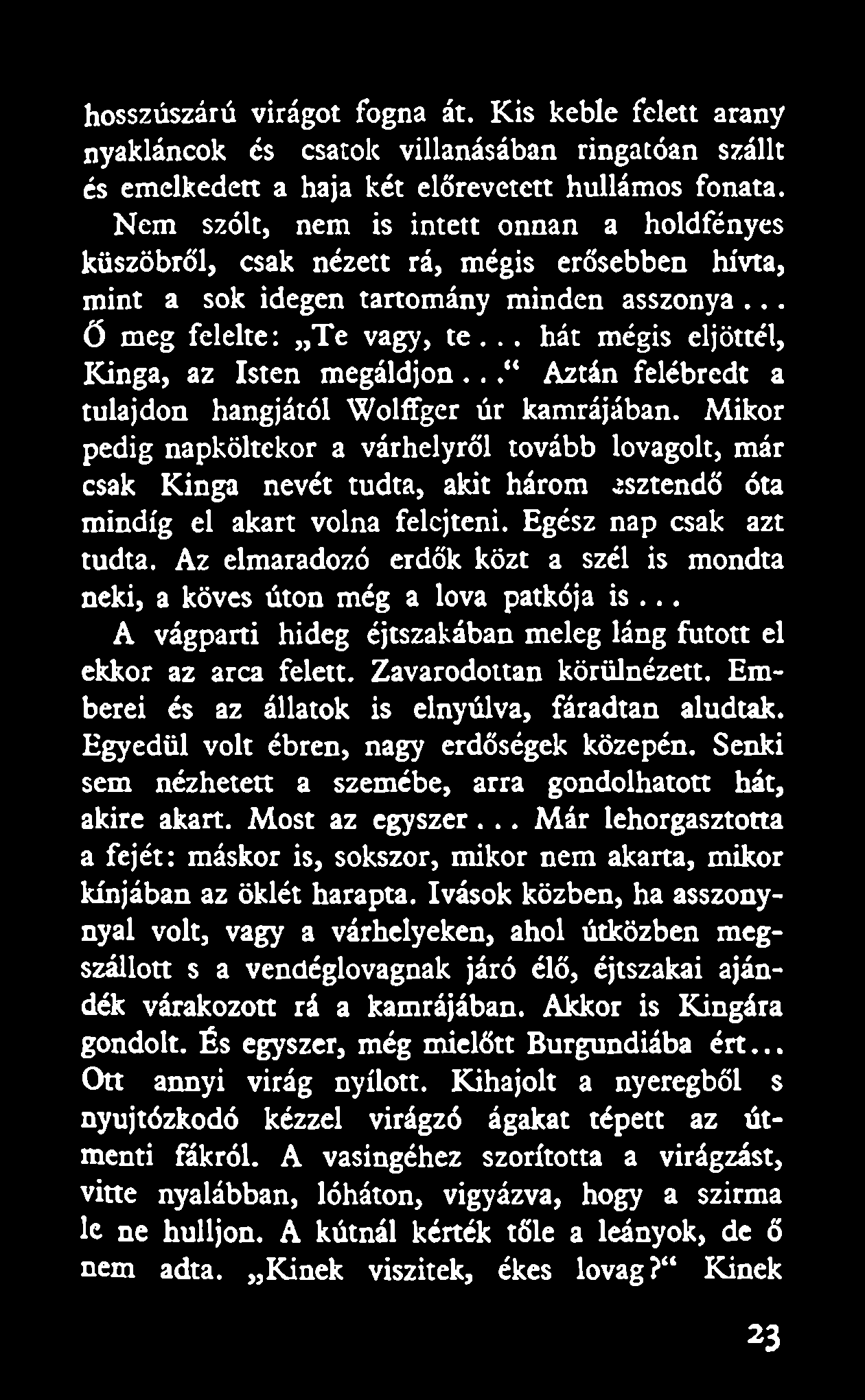 .. hát mégis eljöttél, Kinga, az Isten megáldjon... Aztán felébredt a tulajdon hangjától Wolffgcr úr kamrájában.