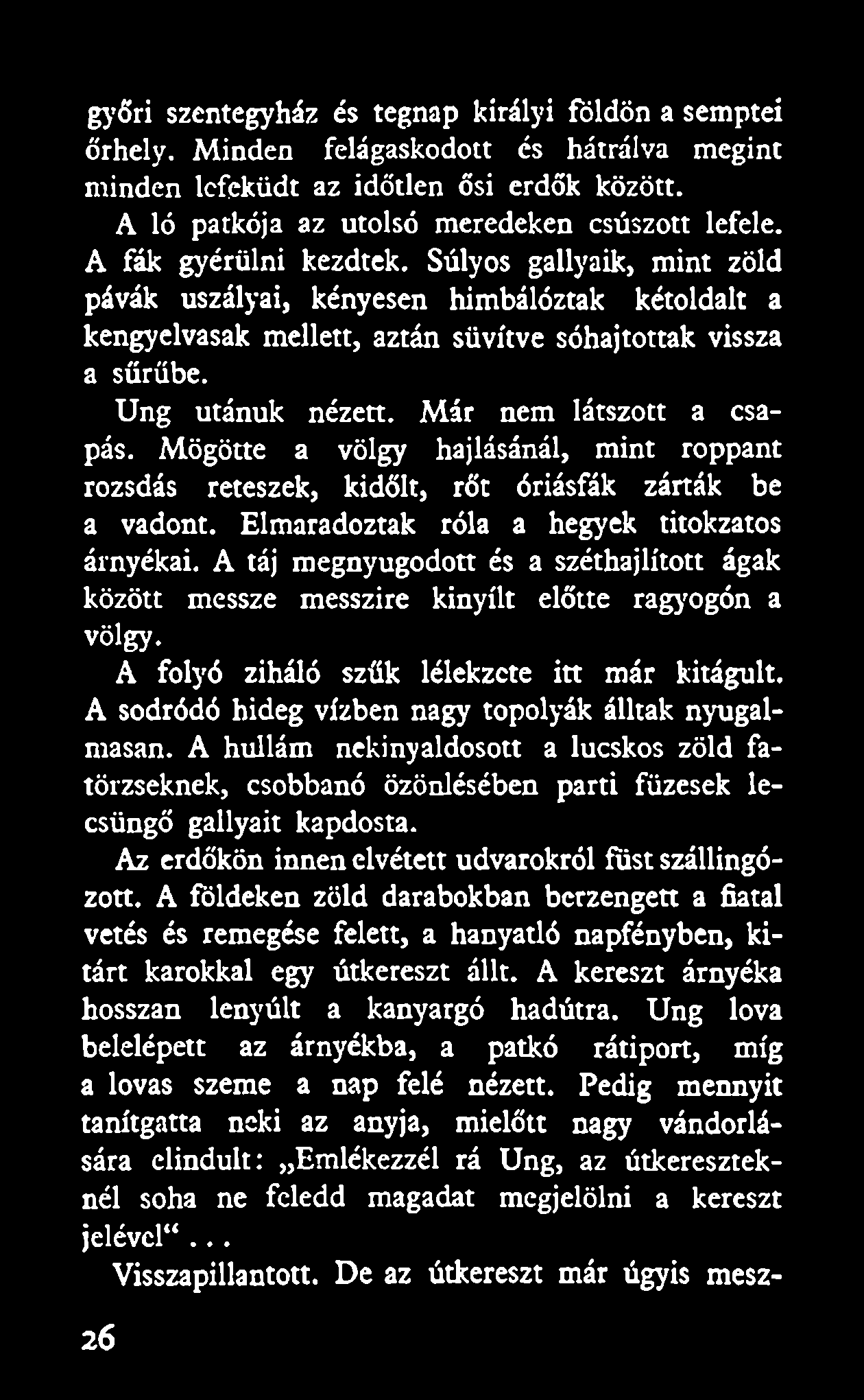 Már nem látszott a csapás. Mögötte a völgy hajlásánál, mint roppant rozsdás reteszek, kidőlt, rőt óriásfák zárták be a vadont. Elmaradoztak róla a hegyek titokzatos árnyékai.