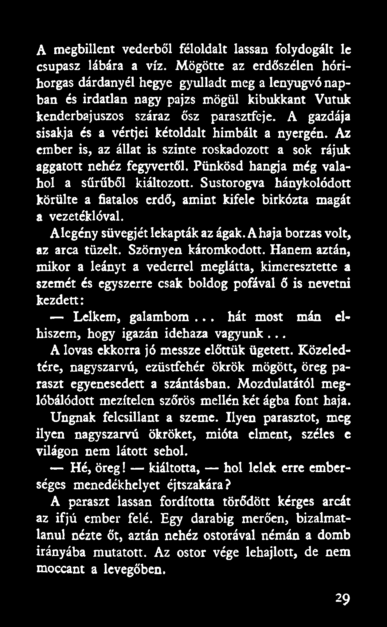 A gazdája sisakja és a vértjei kétoldalt himbált a nyergén. Az ember is, az állat is szinte roskadozott a sok rájuk aggatott nehéz fegyvertől. Pünkösd hangja még valahol a sűrűből kiáltozott.