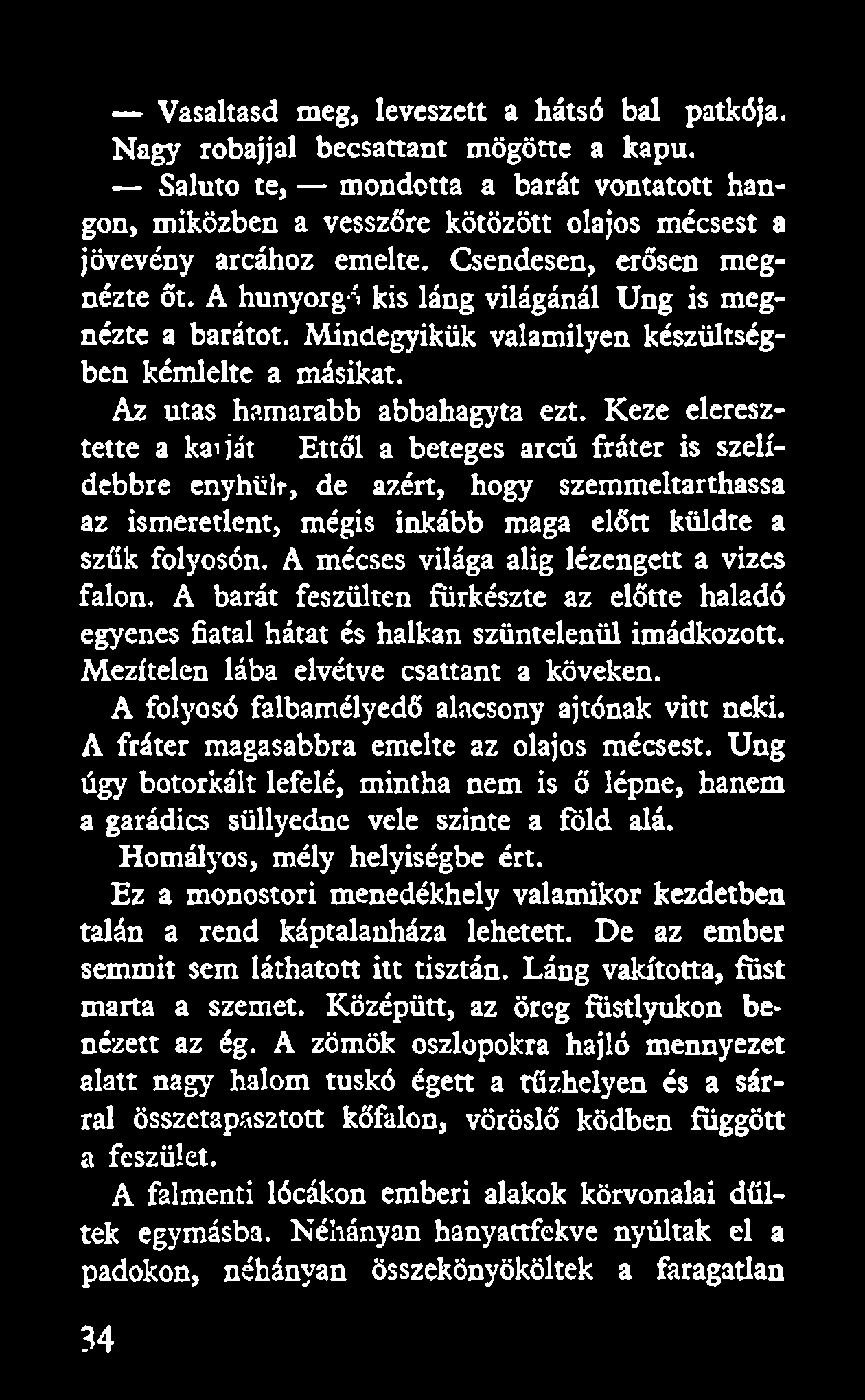 A hunyorgó kis láng világánál Ung is megnézte a barátot. Mindegyikük valamilyen készültségben kémlelte a másikat. Az utas hamarabb abbahagyta ezt.