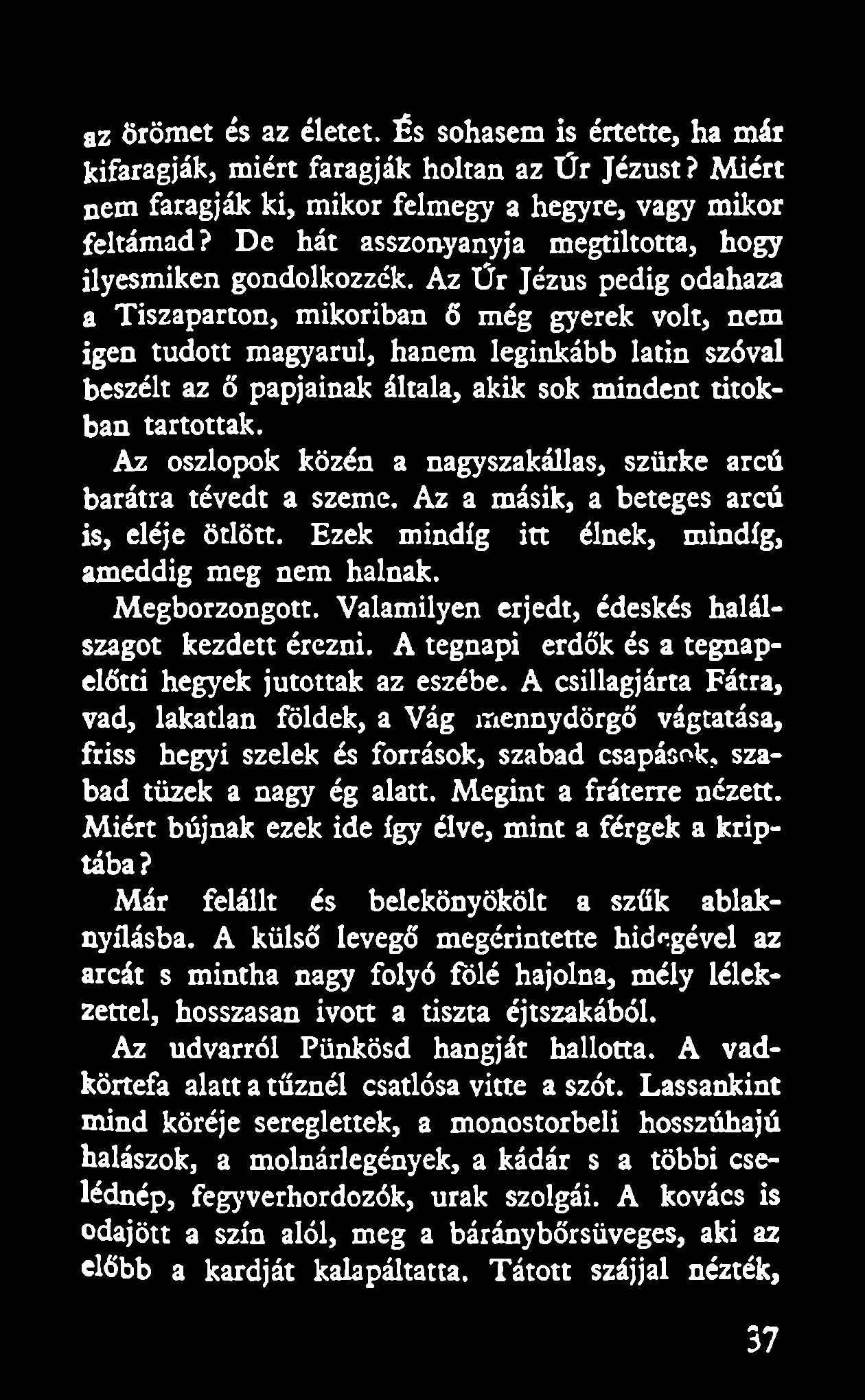 az örömet és az életet. És sohasem is értette, ha már kifaragják, miért faragják holtan az Űr Jézust? Miért nem faragják ki, mikor felmegy a hegyre, vagy mikor feltámad?