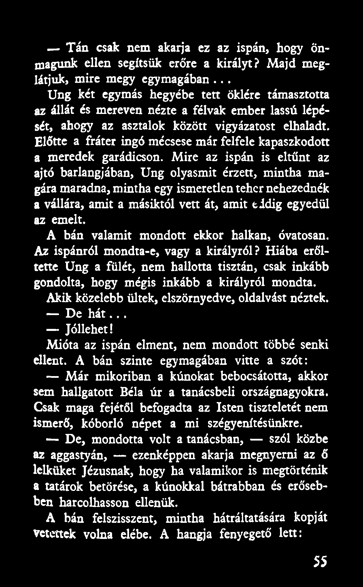 Előtte a fráter ingó mécsese már felfele kapaszkodott a meredek garádicson.