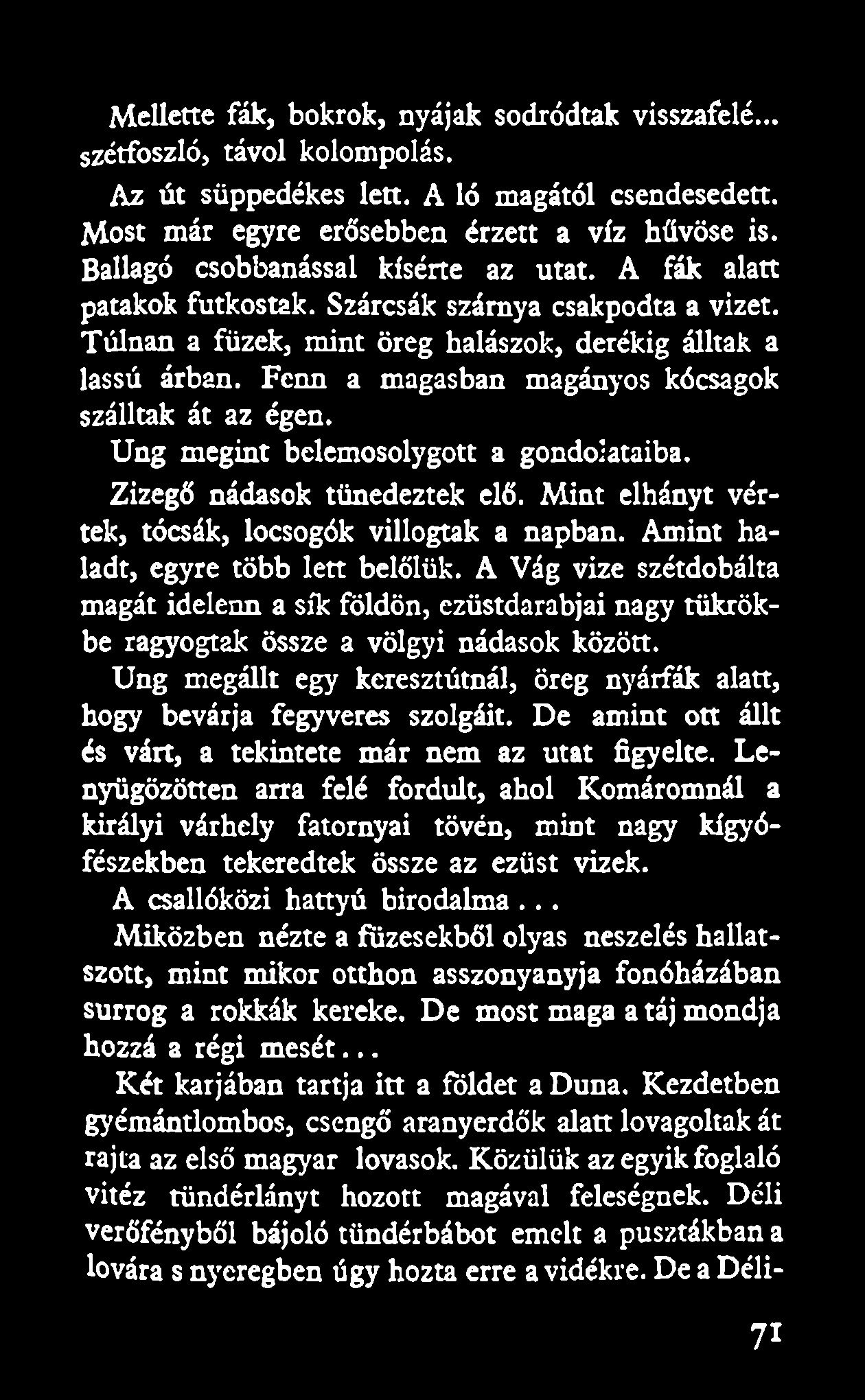 Fenn a magasban magányos kócsagok szálltak át az égen. Ung megint belemosolygott a gondolataiba. Zizegő nádasok tünedeztek elő. Mint elhányt vértek, tócsák, locsogók villogtak a napban.