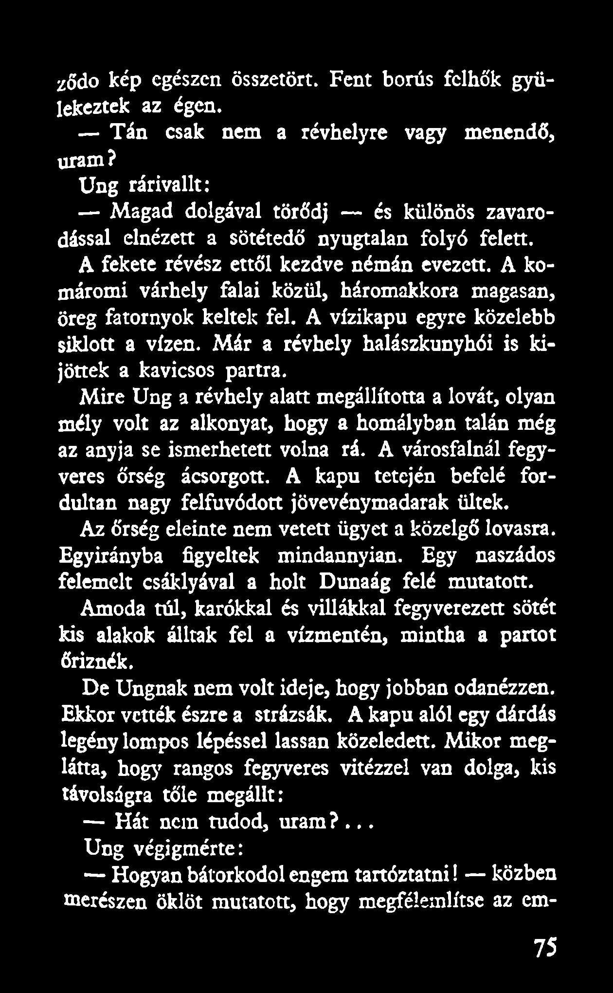 lődo kép egészen összetört. Fent borús felhők gyülekeztek az égen. Tán csak nem a révhelyre vagy menendő, uram?