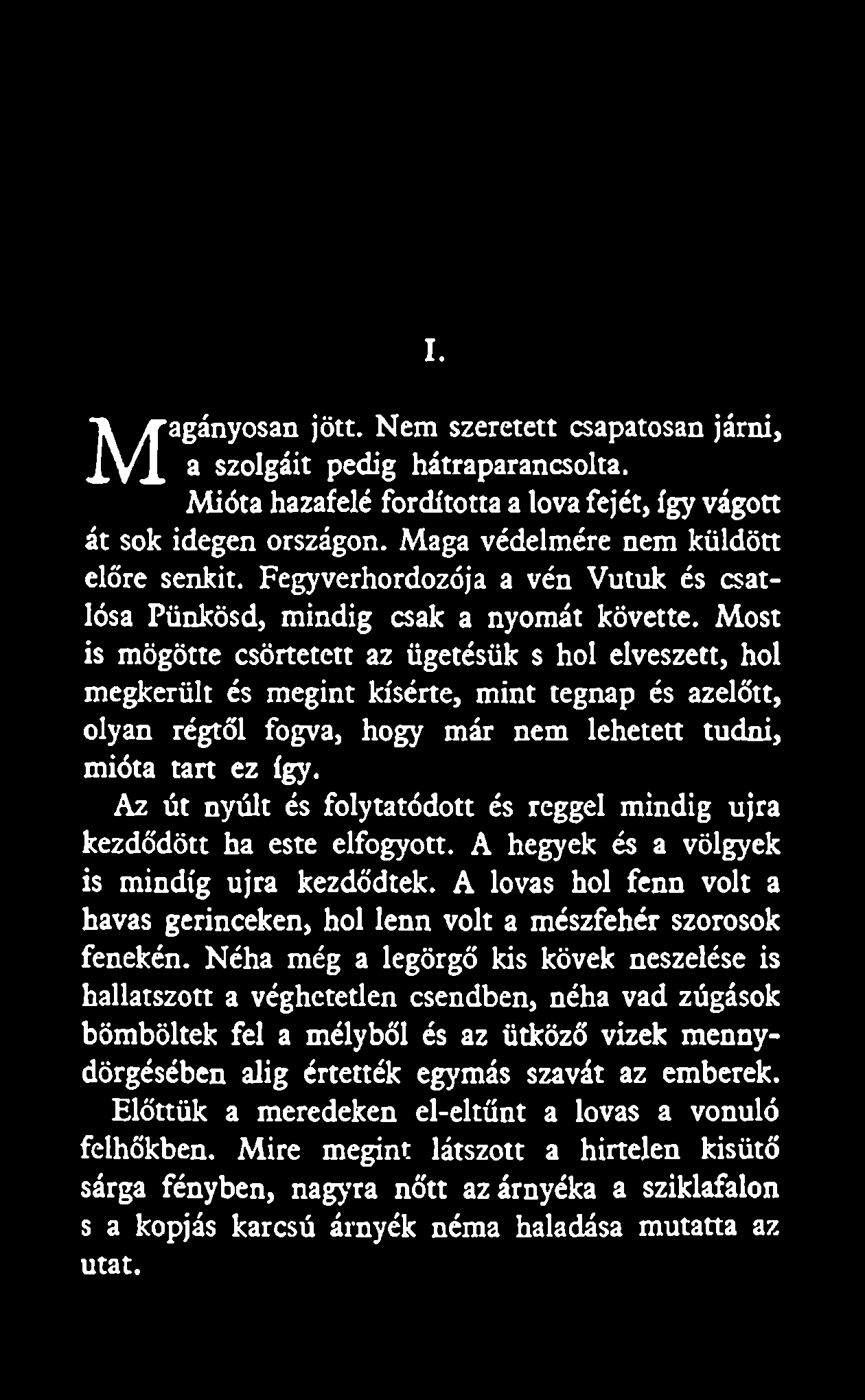 I. agányosan jött. Nem szeretett csapatosan járni, M a szolgáit pedig hátraparancsolta. Mióta hazafelé fordította a lova fejét, így vágott át sok idegen országon.