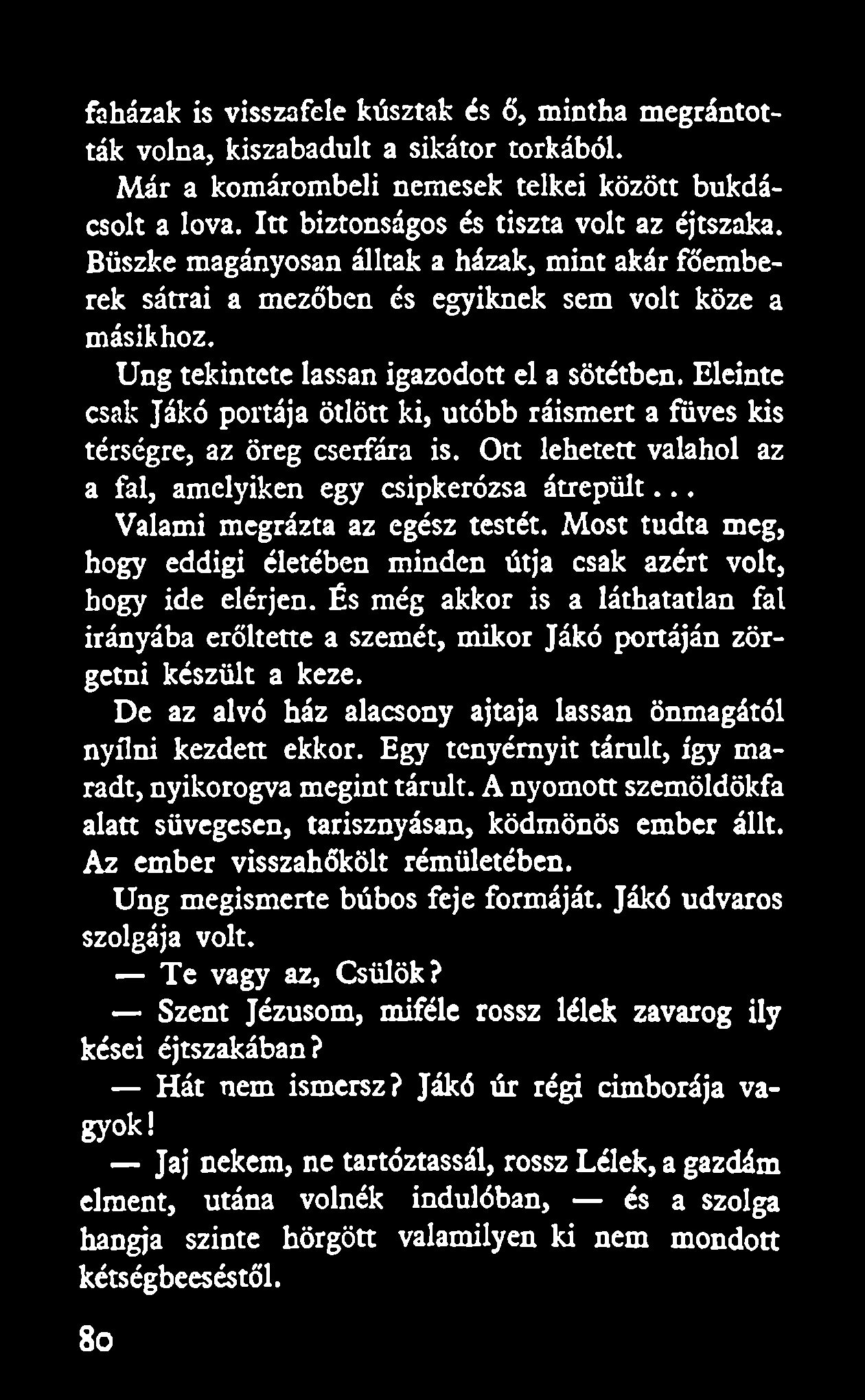 Eleinte csak Jákó portája ötlött ki, utóbb ráismert a füves kis térségre, az öreg cserfára is. Ott lehetett valahol az a fal, amelyiken egy csipkerózsa átrepült... Valami megrázta az egész testét.