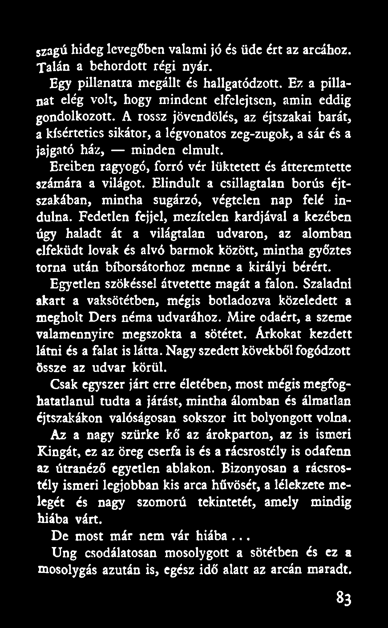 Elindult a csillagtalan borús éjtszakában, mintha sugárzó, végtelen nap felé indulna.