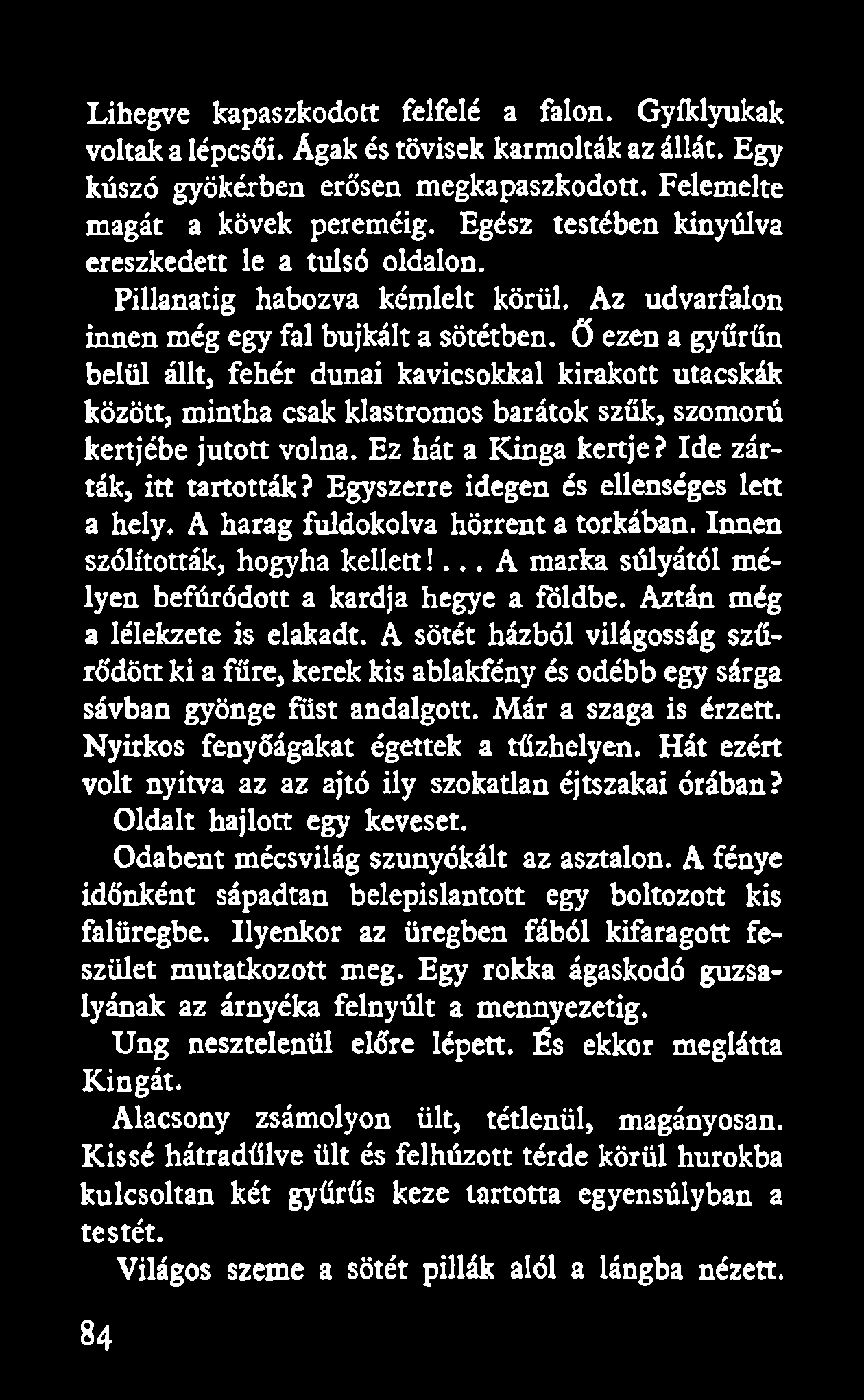 Lihegve kapaszkodott felfelé a falon. Gyíklyukak voltak a lépcsői. Ágak és tövisek karmolták az állát. Egy kúszó gyökérben erősen megkapaszkodott. Felemelte magát a kövek pereméig.