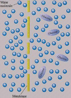 Ha a részecskék mozgását akadályozzuk, például féligáteresztő hártya választja el az oldatot a tiszta oldószertől, vagy egy hígabb oldattól, akkor csak a kisebb méretű részecskék az oldószer
