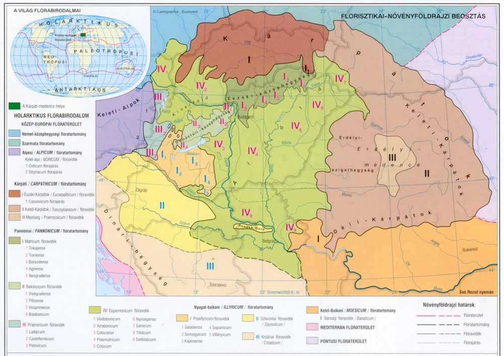 A Kárpát-medence növényföldrajzi