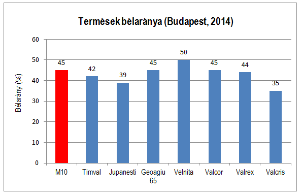 Termések