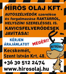 kapcsán beszéltek képviselőink a városháza közelgő