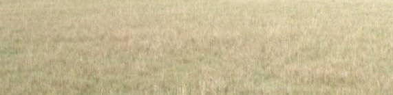 N46 5,6' E19 1,6' Kiskunsági Nemzeti Park
