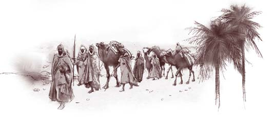 12. tanulmány December 12 18.