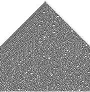 sejtautomata által létrehozott háromszögekből álló hálózat megegyezik a conus glorimaris csiga házán látható mintával (1. ábra).
