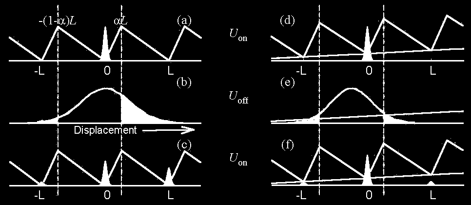 hu/parrondo/store/parrondo_lepcso.avi 2.