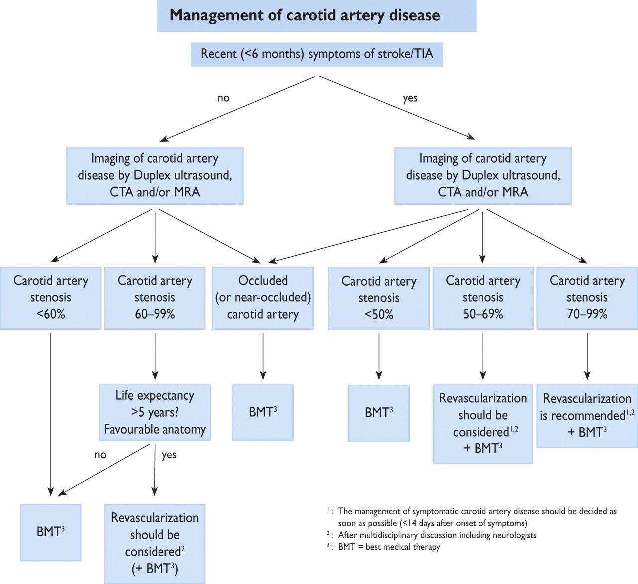 ESC Guidelines on the diagnosis and treatment of