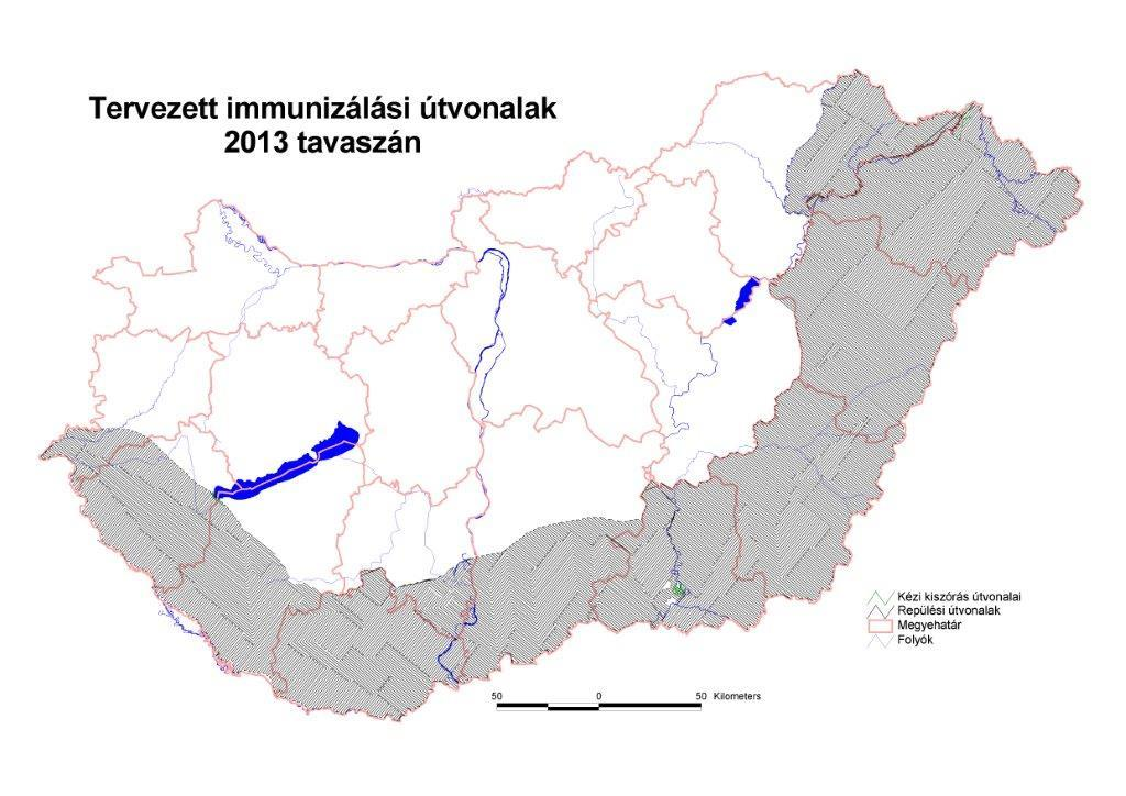 462 Epinfo 38. szám A lyssa-fertőzésre gyanús sérülések 31,2%-át (1 562 eset) június és augusztus között jelentették.